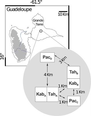 Adaptation of a Fungal Pathogen to Host Quantitative Resistance